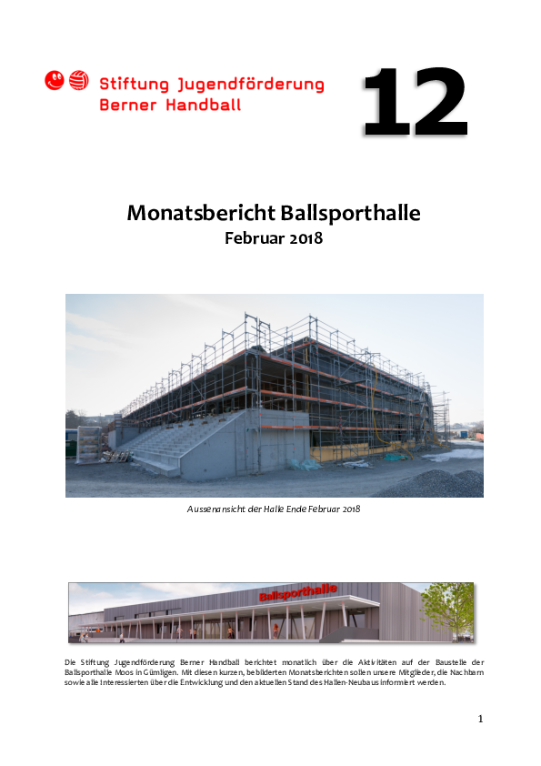 monatsbericht_nr._12_februar_2018.pdf