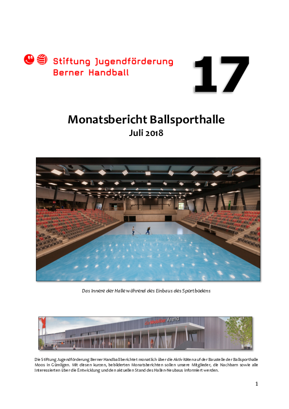 monatsbericht_nr._17_juli_2018.pdf