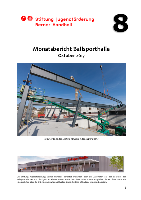 monatsbericht_nr._8_oktober_2017__.pdf