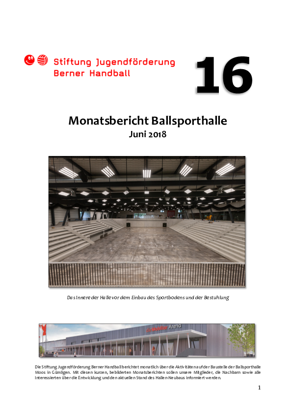 monatsbericht_nr._16_juni_2018_.pdf