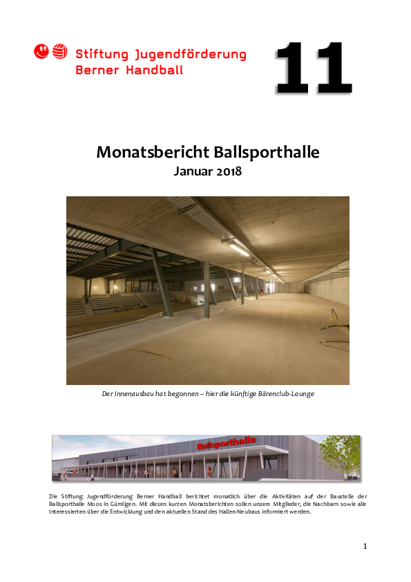 monatsbericht_nr._11_januar_2018.pdf